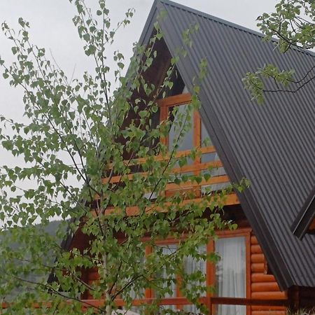 Villa Wood Borje Zabljak  Luaran gambar