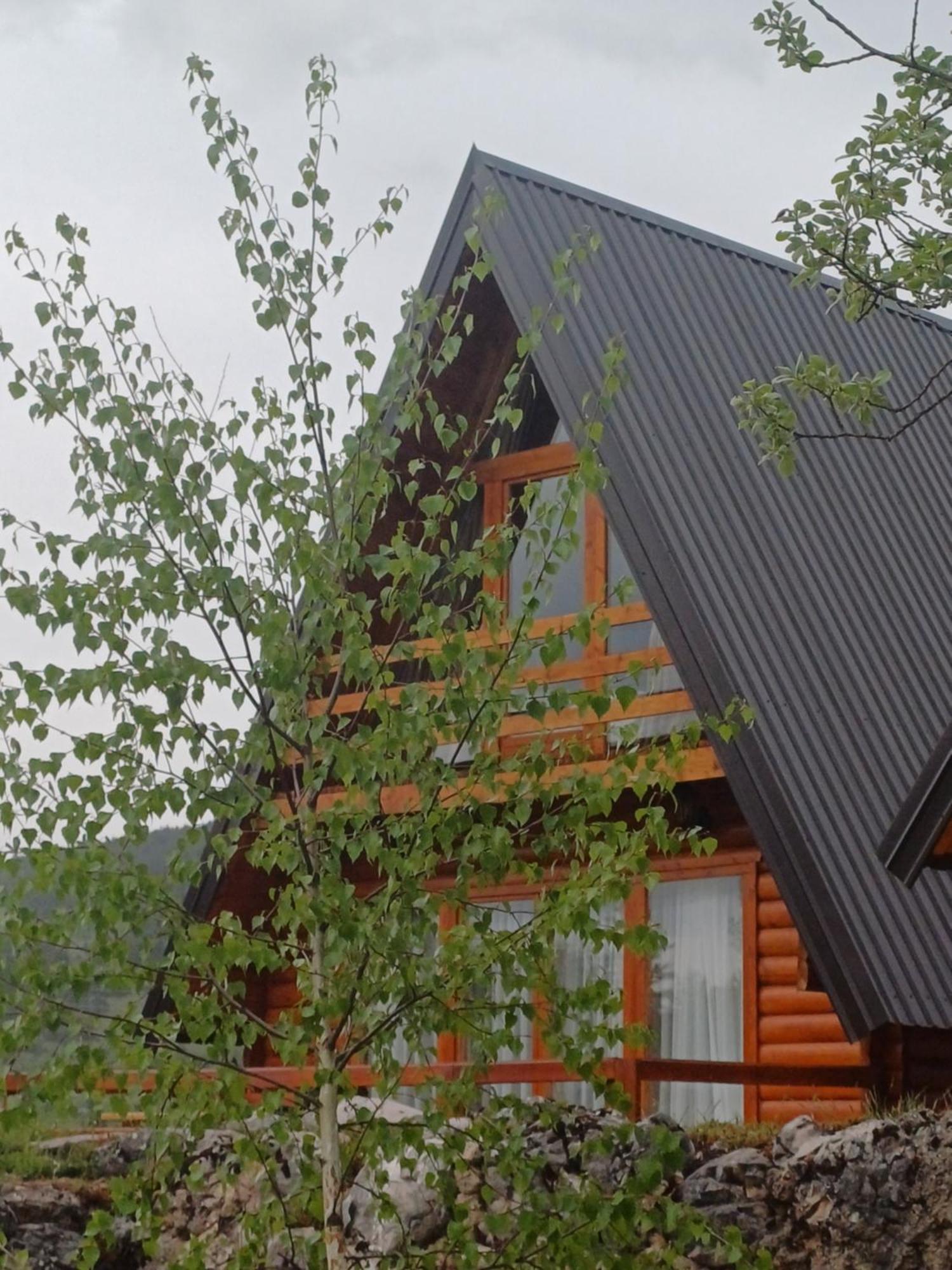 Villa Wood Borje Zabljak  Luaran gambar